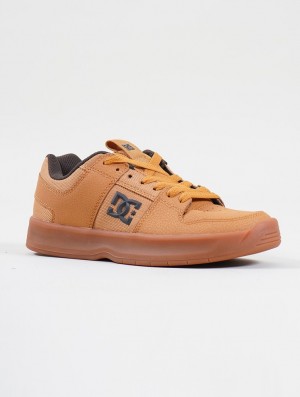 Pánské DC Shoes Toonzshop Dc Shoes Lynx Zero Camel nubuck leather | 7938BQSUL